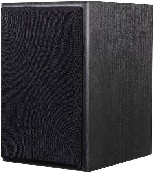 DUAL LS 100 Active Monitor