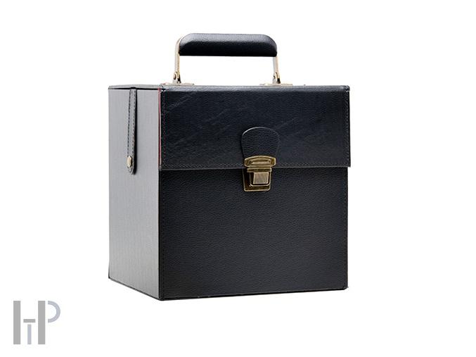 Audio Anatomy RECORD CASE 7"