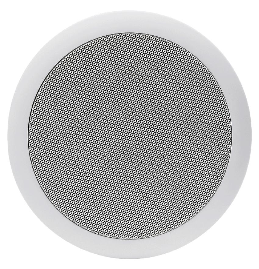 Indiana Line RD 260  In Ceiling