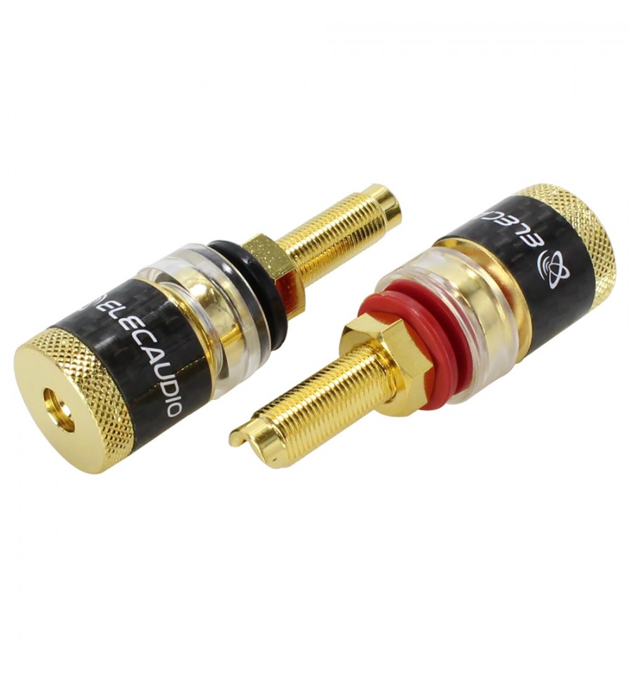 ELECAUDIO BP-206 High-End