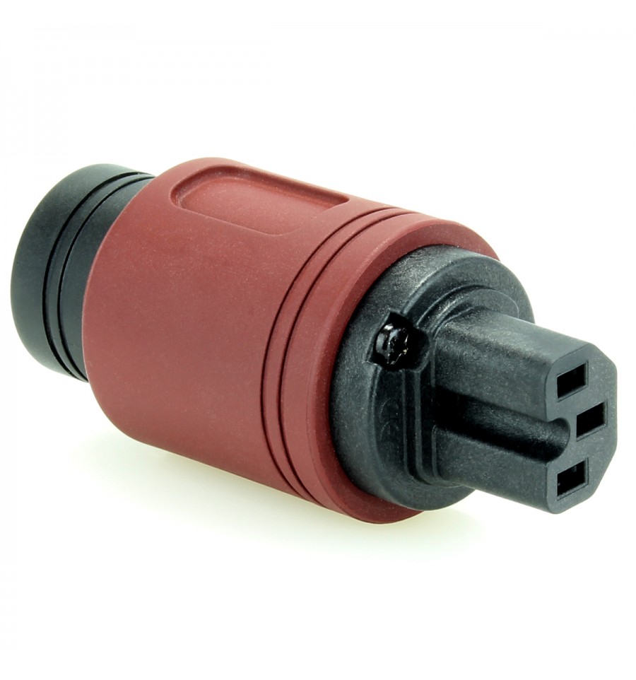 ELECAUDIO RI-24GW