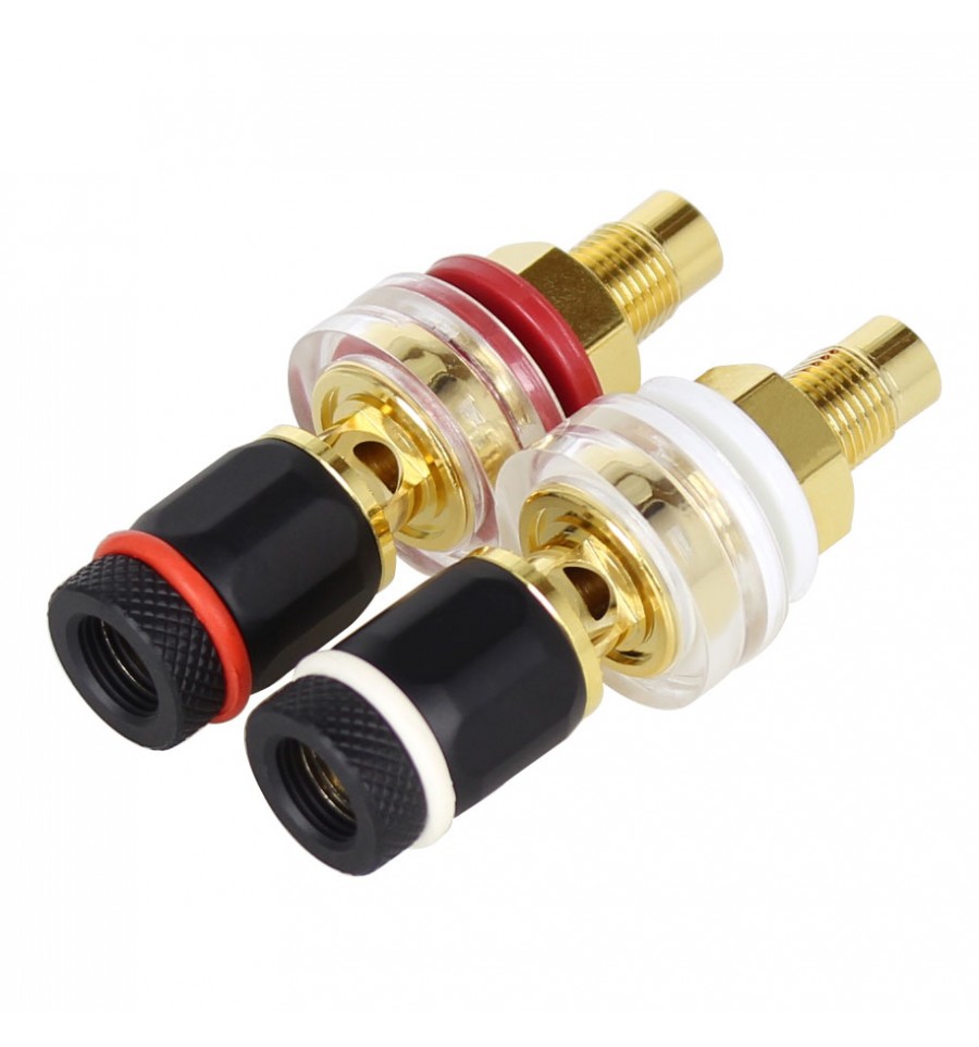 ELECAUDIO BP-209