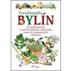 Encyklopédia bylín