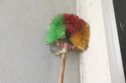 Jak se zbavit pavouků v domácnosti