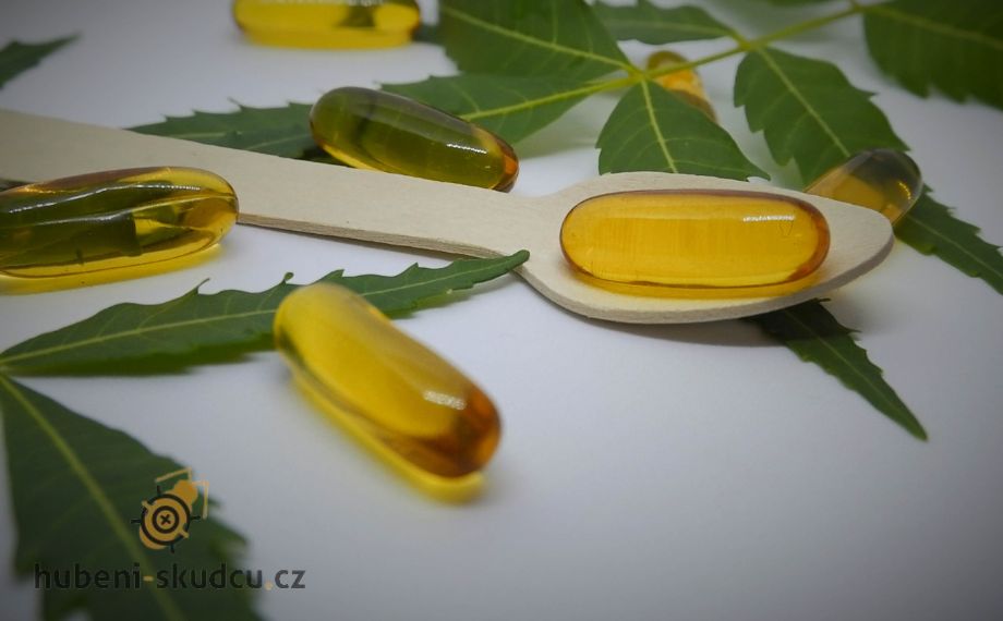 Neemový (nimbový) olej: Přírodní zbraň proti škůdcům a chorobám