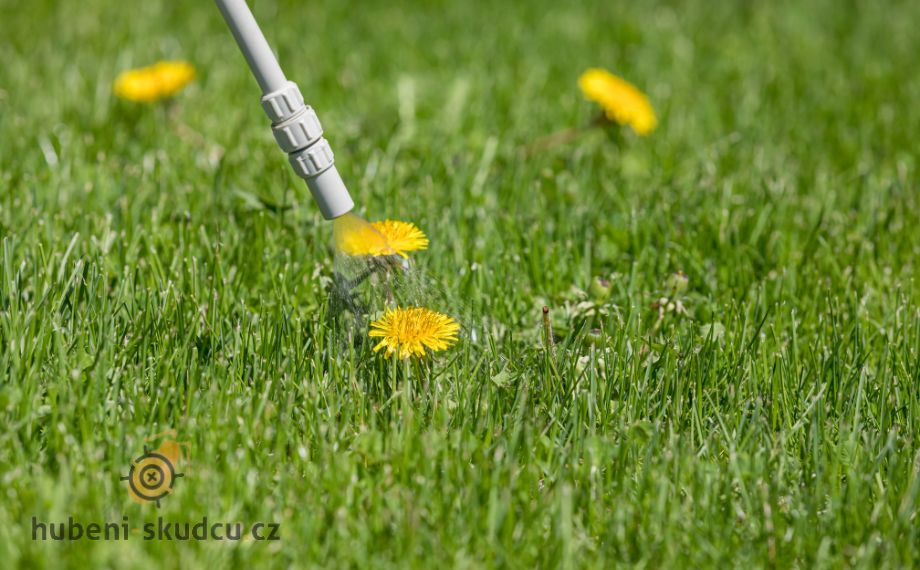 Jak se zbavit plevele