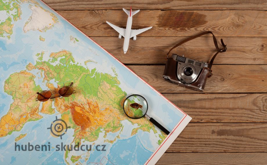 Škůdci při cestování – jak si nepřivézt nevítané suvenýry