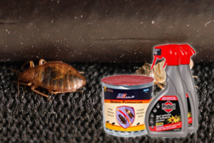 Co odpuzuje štěnice v bytech, aneb lze hubit svépomocí?