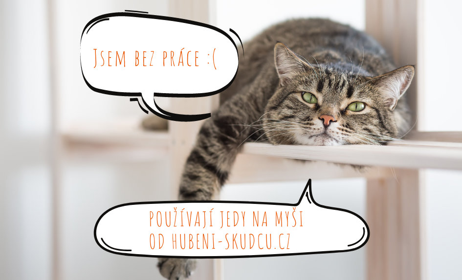 Používejte jedy na myši od hubeni-skudcu.cz a vaše kočka bude bez práce.