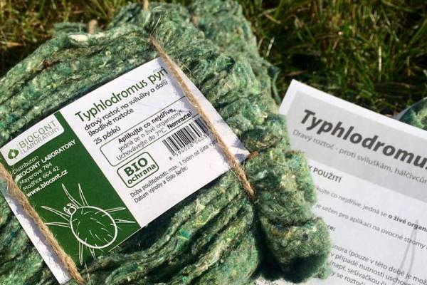 Typhlodromus pyri T-pyri dravý roztoč na svilušky