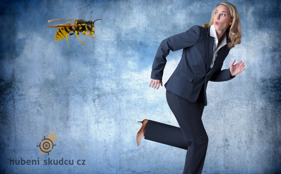 parfem přitahují vosy(1)