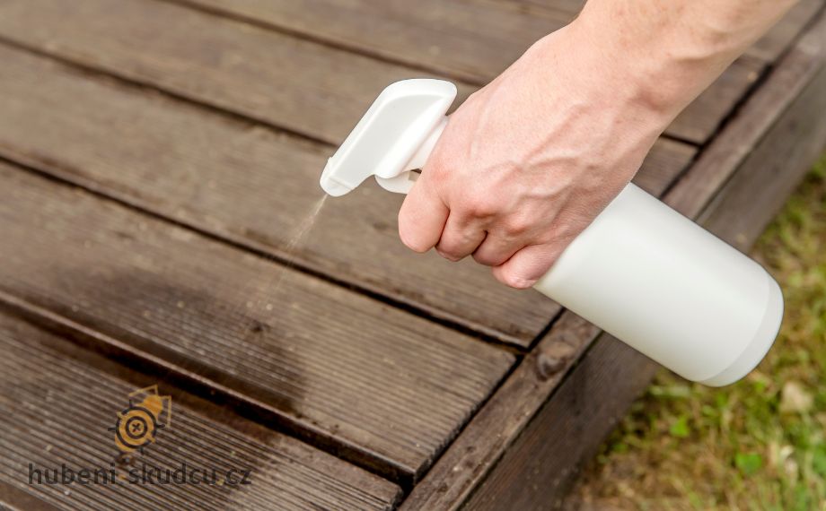 Co Odpuzuje Mravence (vůni která, která mravence, vůni která mravence, feromonové stopy) Co Odpuzuje Mravence