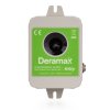 Deramax Kitty 01
