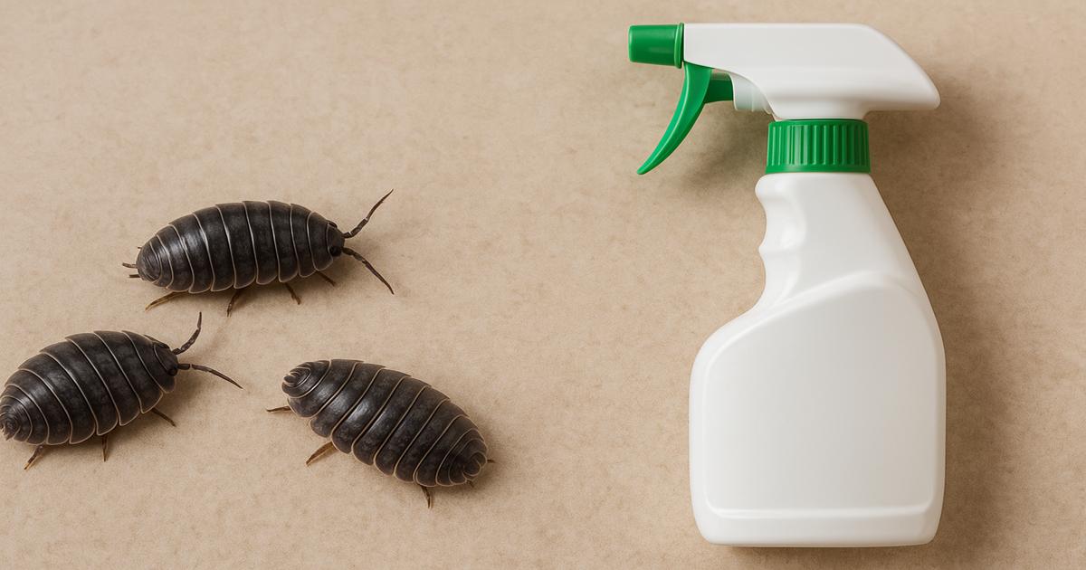 pill_bugs_spray_1200x630