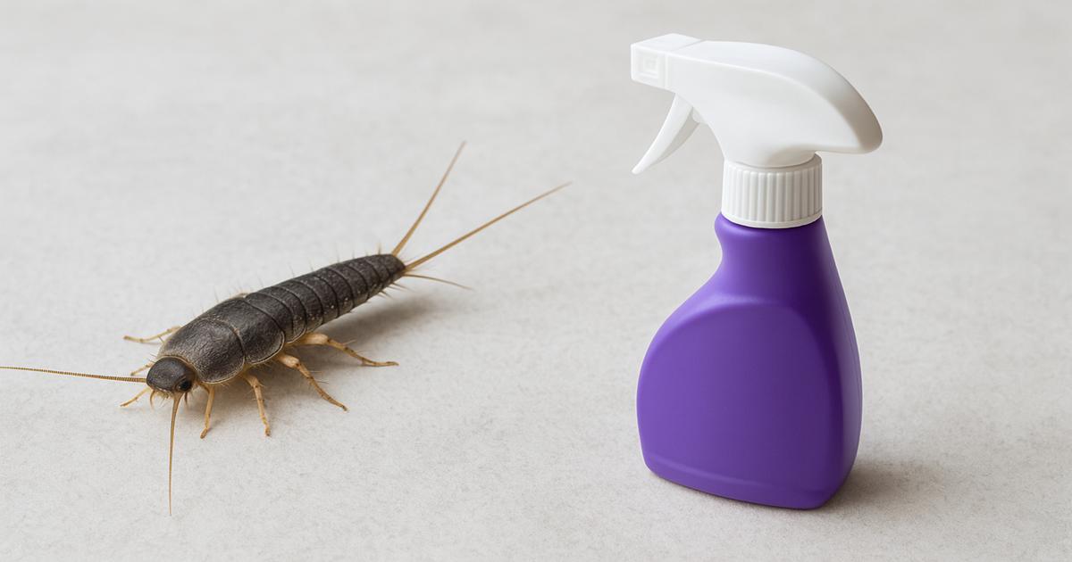 silverfish_spray_1200x630
