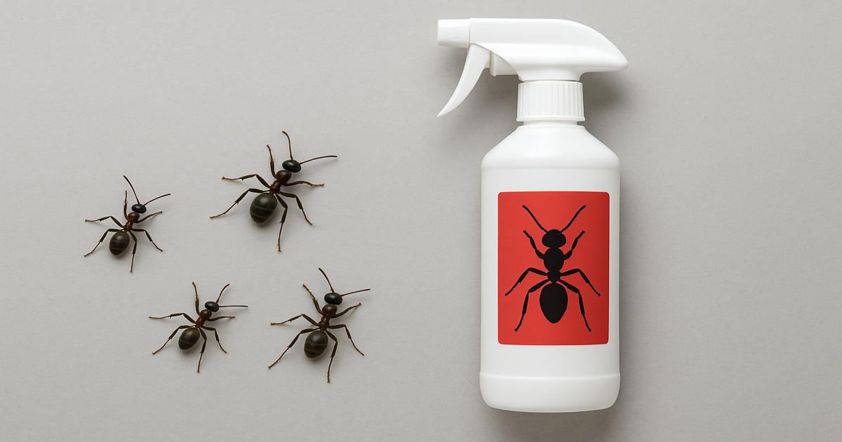 spray_ants_1200x630
