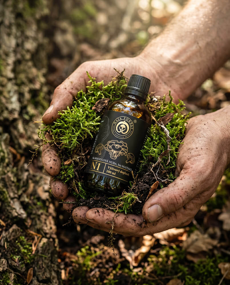 Bio certifikované hubové extrakty z vitálnych húb Maitake a Mandľová huba extrakt Naja Forest N1