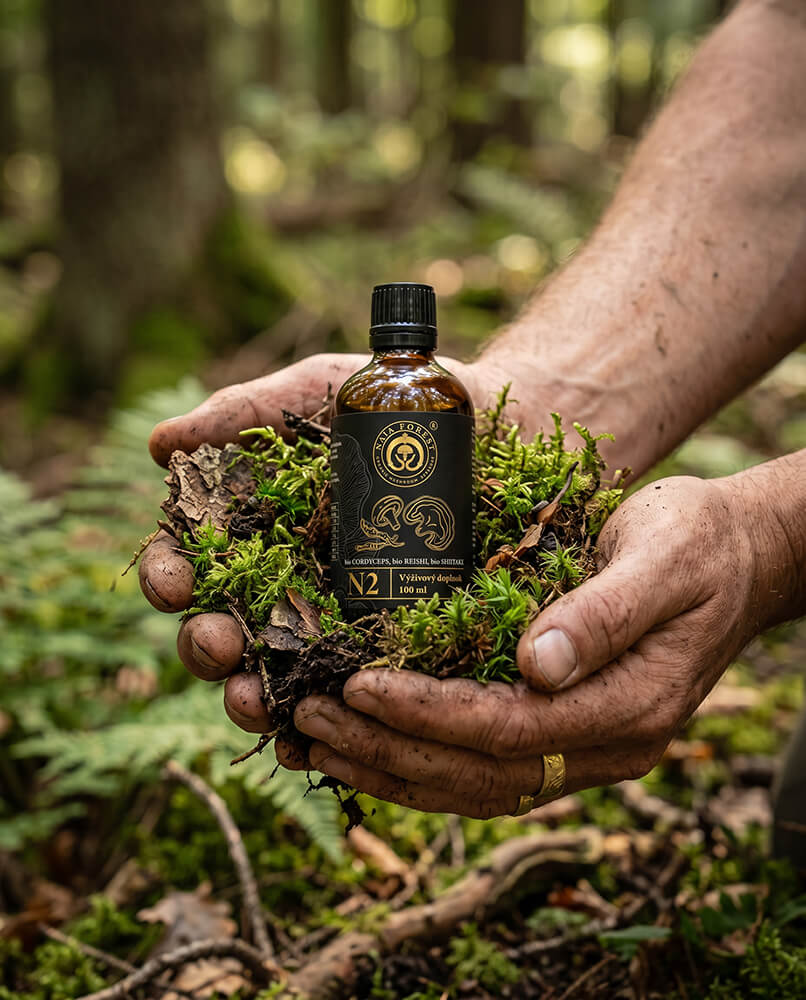 Bio certifikované hubové extrakty Cordyceps, Reishi a Shiitake Naja Forest N2