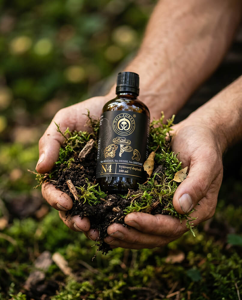 Bio certifikované hubové extrakty Maitake, Reishi a Shiitake Naja Forest N4