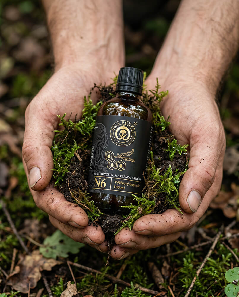 Bio certifikované hubové extrakty Cordyceps s materskou kašičkou Naja Forest N6