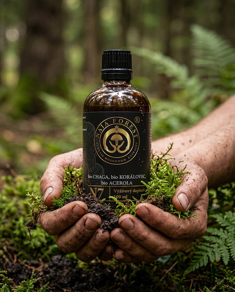 Bio certifikované hubové extrakty Chaga, Korálovec a Acerola Naja Forest N7
