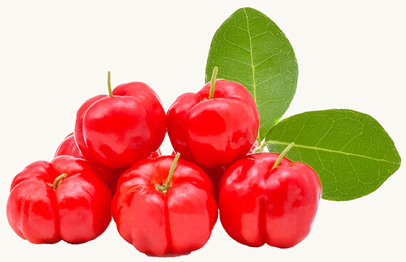 Bio Acerola (Malpighia emarginata) — prírodný zdroj vitamínu C