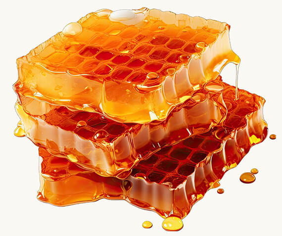 Včelia materská kašička (Apis mellifera) — strava včelej kráľovnej
