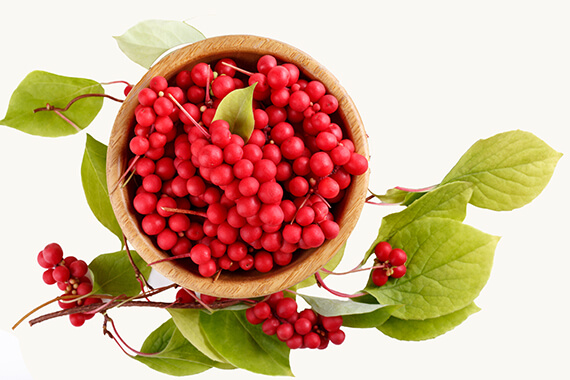 Schizandra čínská (Schisandra chinensis) — bobule pěti chutí