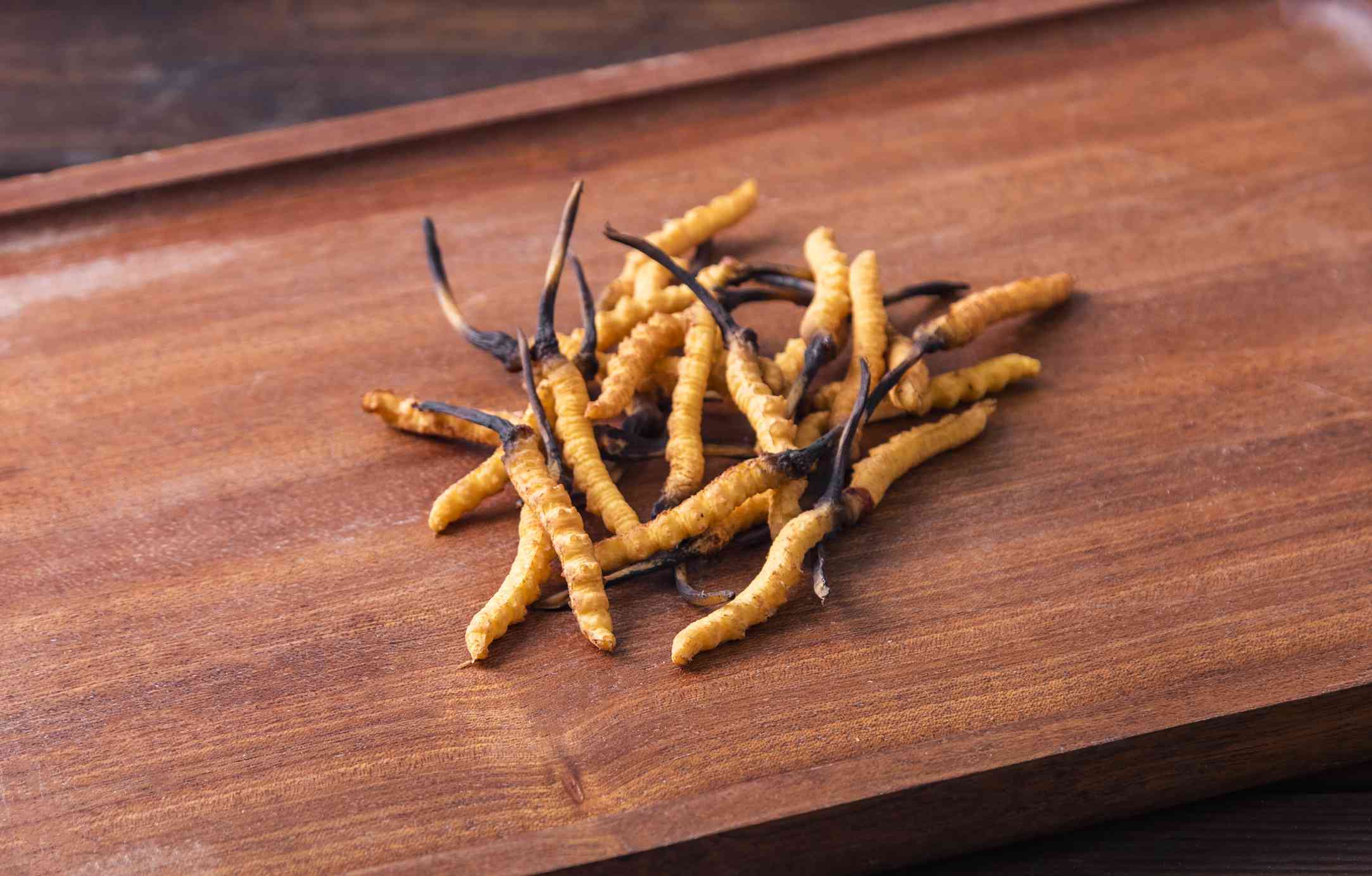 Cordyceps-b6f5e0c874744d91b16e49f692539580