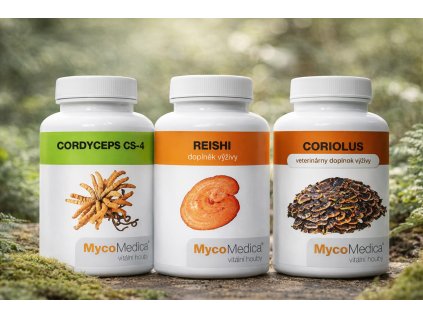 41c70841 9989 4a95 b8f9 7812a1ddbea7