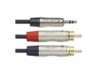 2x RCA/mini Jack