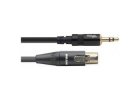 mini Jack/mini XLR