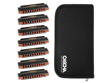 foukací harmonika sada profi blues series set