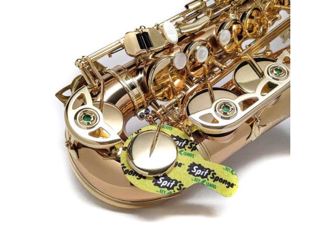 Odstraňovač vlhkosti podlepek saxofon