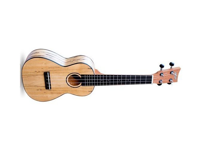 2500025 ashton uke 500 spm KONCERTNÍ UKULELE