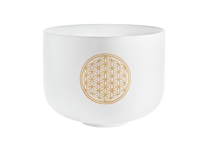 d770b802 f086 4896 8897 8e1b15b4d956