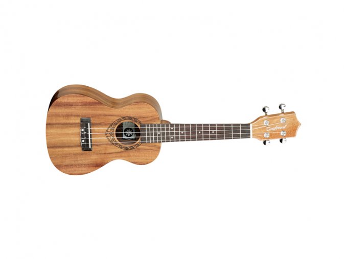 2500024 TANGLEWOOD TWT8 koncertní kulele