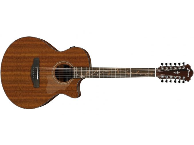 IBANEZ AE2912 12str.kytara masiv 1