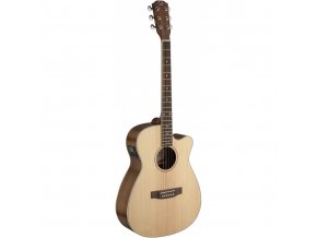 James Neligan ASY-ACE, elektroakustická kytara typu Auditorium