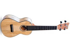 2500025 ashton uke 500 spm KONCERTNÍ UKULELE