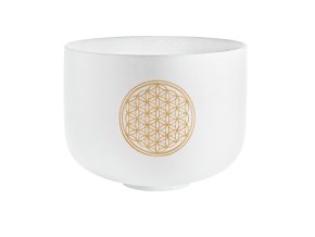 d770b802 f086 4896 8897 8e1b15b4d956