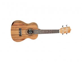 2500024 TANGLEWOOD TWT8 koncertní kulele