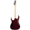 IBANEZ GRGR221 elektrická kytara 1