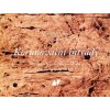 1000x1000 1399291843 c item 7867 1338 jilinek korunovacni intrady trumpeta posaune pauken