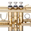 Stagg WS-TR255S, C trubka