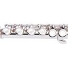 STAGG WS FL111