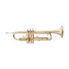 Stagg WS-TR115