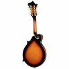 mandolína model F polomasiv 3