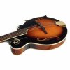 mandolína model F polomasiv