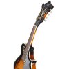 mandolína model F polomasiv 4